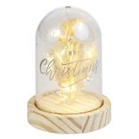 Dôme fleurs séchées sous cloche Merry Christmas à LED Ø9xH13cm