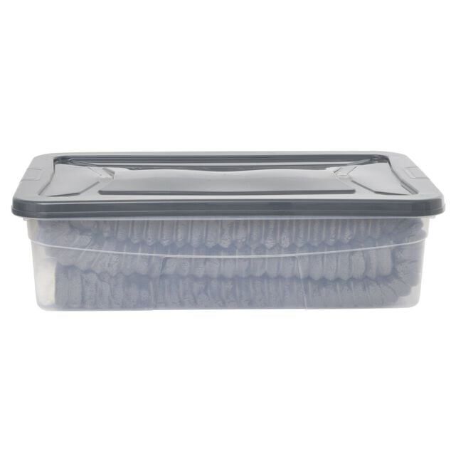 Box dessous de lit transparent et gris 30L