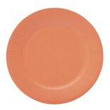 Lot de 10 assiettes en carton orange &Oslash;18cm