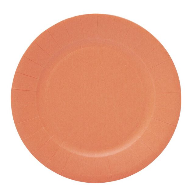Lot de 10 assiettes en carton orange &Oslash;18cm
