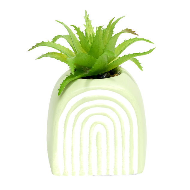 Plante grasse artificielle H9cm pot ciment (3 modèles)
