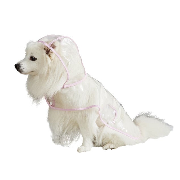 Manteau de pluie imperm&eacute;able transparent pour chien - Taille S
