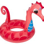 Bou&eacute;e gonflable hippocampe