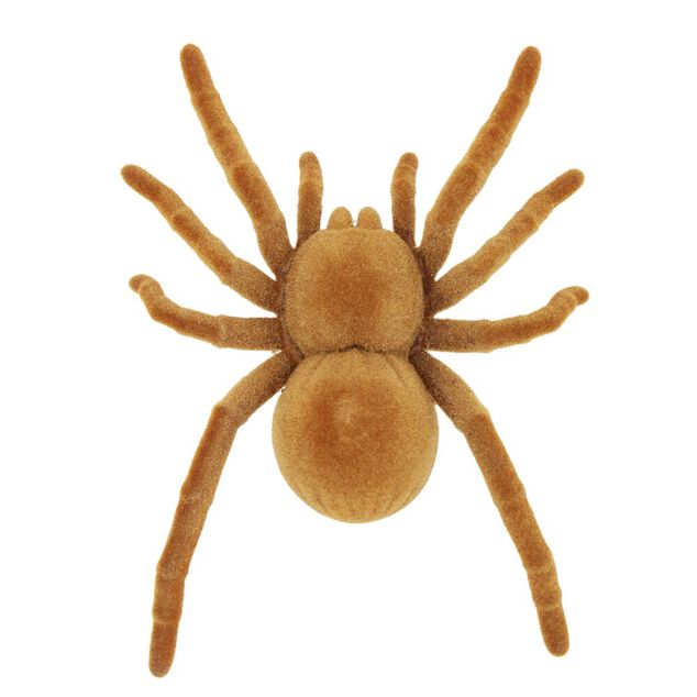 Insecte anim&eacute; farce et attrape L10cm (3 mod&egrave;les)