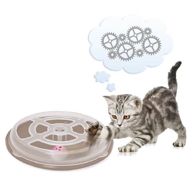 Jeu de balle pour chat