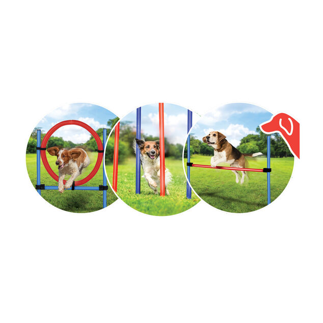 Lot de 5 accessoires d'entra&icirc;nement pour chien