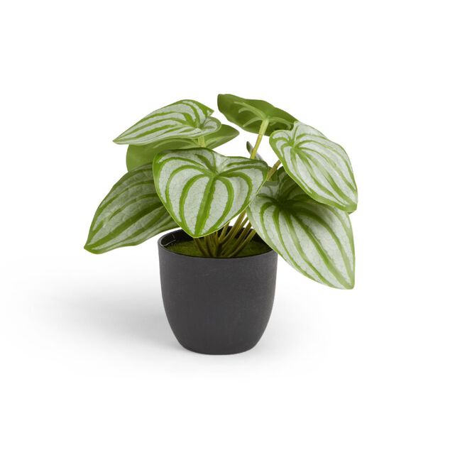 Plante artificielle verte H16cm