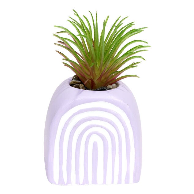 Plante grasse artificielle H9cm pot ciment (3 mod&egrave;les)