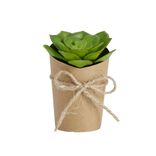 Plante artificielle en pot kraft succulente &Oslash;5xH12cm - 3 mod&egrave;les