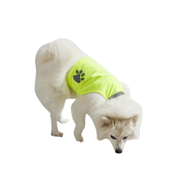 Gilet de s&eacute;curit&eacute; pour chien r&eacute;fl&eacute;chissant Taille M