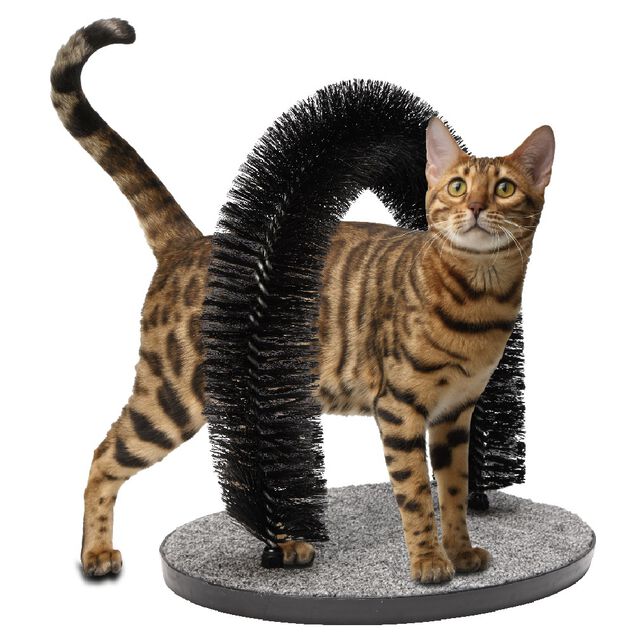 Jouet brosse pour chat avec support 3 en 1