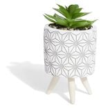 Plante artificielle pot ciment tr&eacute;pied bois &Oslash;7,5xH13cm (2 mod&egrave;les)