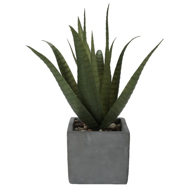 Plante artificielle alo&eacute; v&eacute;ra pot ciment collection Tropical