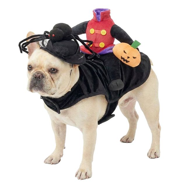 D&eacute;guisement pour animal Halloween bonhomme citrouille sans t&ecirc;te noir S/M