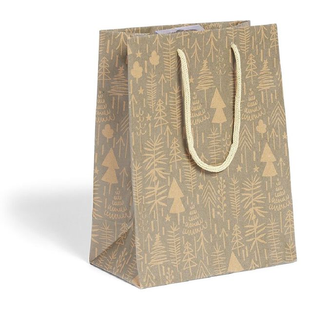 Sac cadeau No&euml;l papier recycl&eacute; imprim&eacute; 17,5x10xH23cm (2 mod&egrave;les)