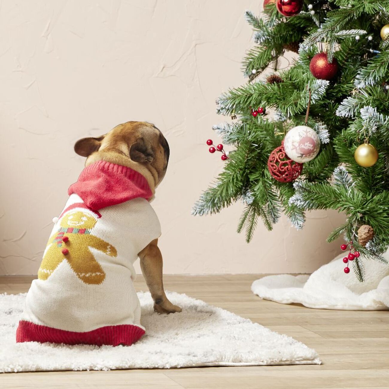 Decoration Noel Pull De Noel Pimkie Veste Cuir Pull Noel Gifi