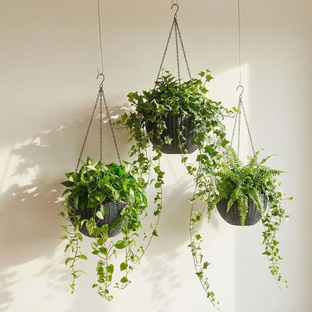 Pot de fleur rond &agrave; suspendre plastique noir &Oslash;26xH66cm