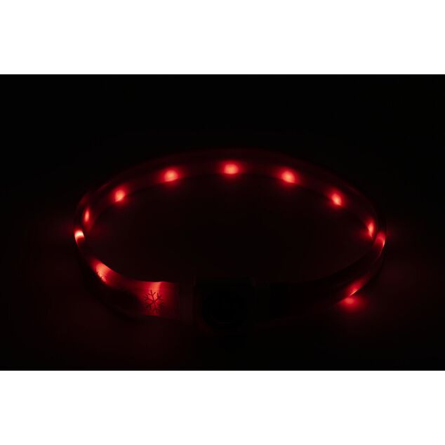 Collier pour chien ajustable avec LED plastique &Oslash;65XH2,5 cm rouge
