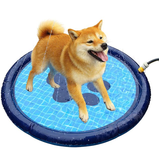 Piscine pour chien ronde &Oslash;100xH10cm