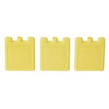 Bloc de glace 100ml x3