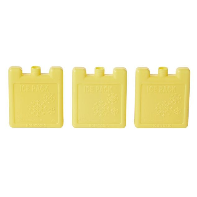 Bloc de glace 100ml x3