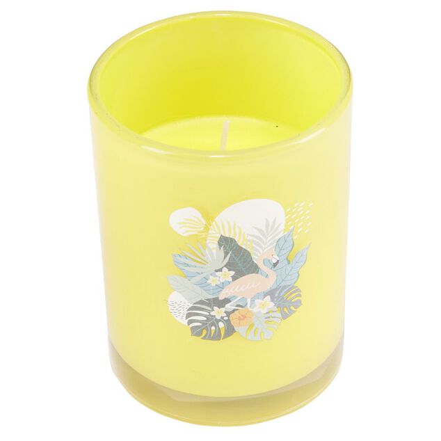 Bougie citronnelle pot en verre color&eacute; motif tropical 28H - &Oslash;13xH8cm