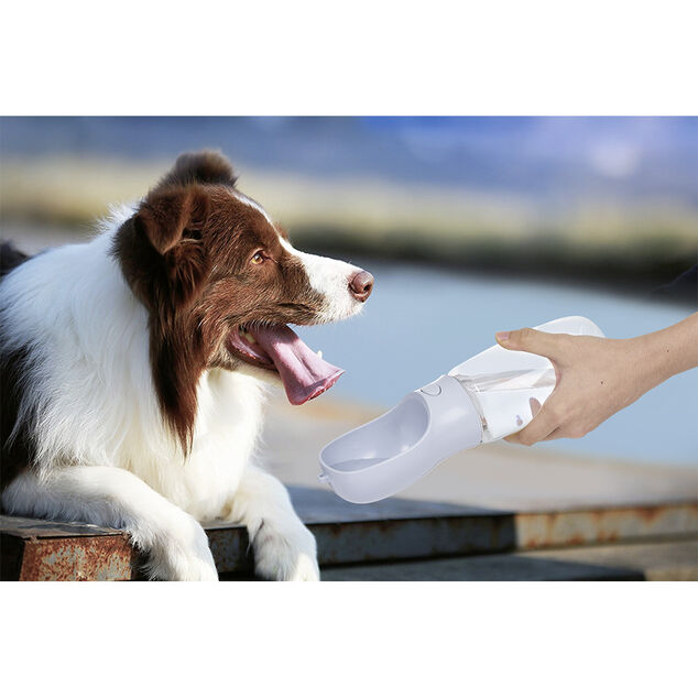 Distributeur d'eau portable pour animaux 500ml
