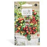 Semence de tomate Vilma