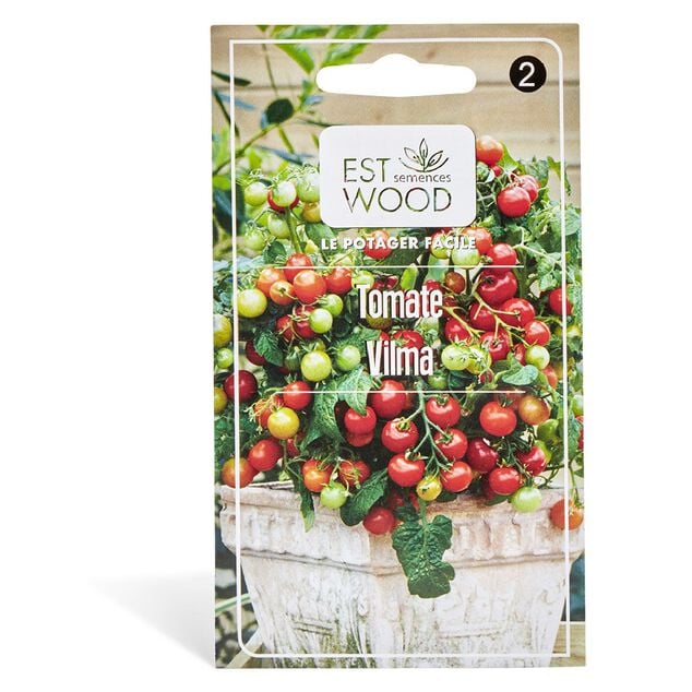 Semence de tomate Vilma
