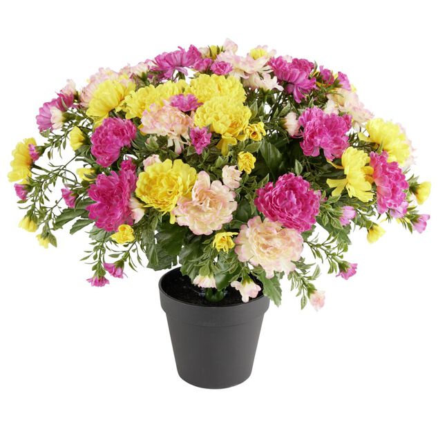 Chrysanth&egrave;me 14 tiges en pot &Oslash;34xH30cm