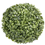 Boule de buis artificiel Ø20cm décoration extérieure