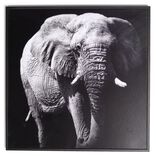 Cadre d&eacute;co en bois photo &eacute;l&eacute;phant 30x30cm
