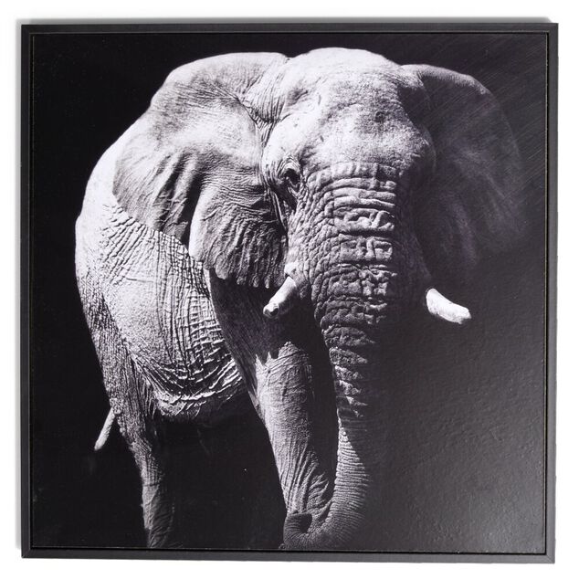 Cadre d&eacute;co en bois photo &eacute;l&eacute;phant 30x30cm