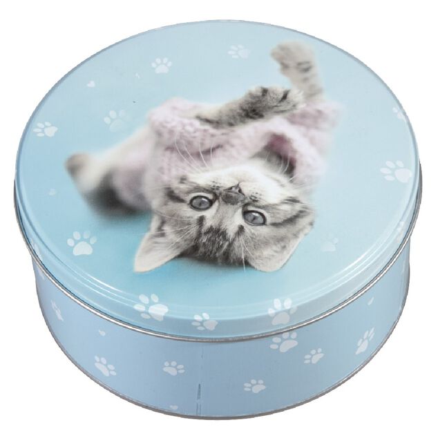Bo&icirc;te d&eacute;cor animal