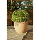 Pot rond terre cuite avec d&eacute;cor corde &Oslash;30xH24cm