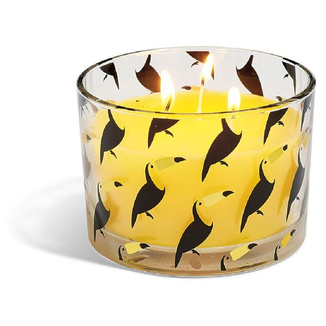 Bougie citronnelle verre