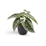 Plante artificielle verte H16cm