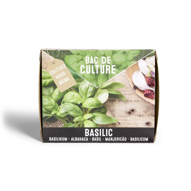 Bac de culture basilic avec graines et terreau