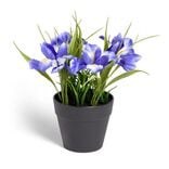 Plante artificielle fleurs bleues H14cm