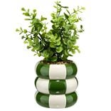 Plante grasse artificielle pot rond c&eacute;ramique damier vert et blanc &Oslash;12xH28cm