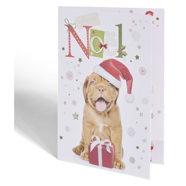 Carte de voeux No&euml;l 12x17cm (plusieurs mod&egrave;les)