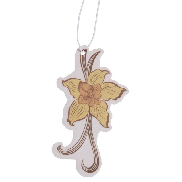 Désodorisant pour voiture carte (3 modèles)