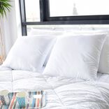 Oreiller x2 carré câlin 60x60x15cm