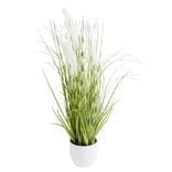 Pot de joncs artificiels blancs avec herbes H51cm