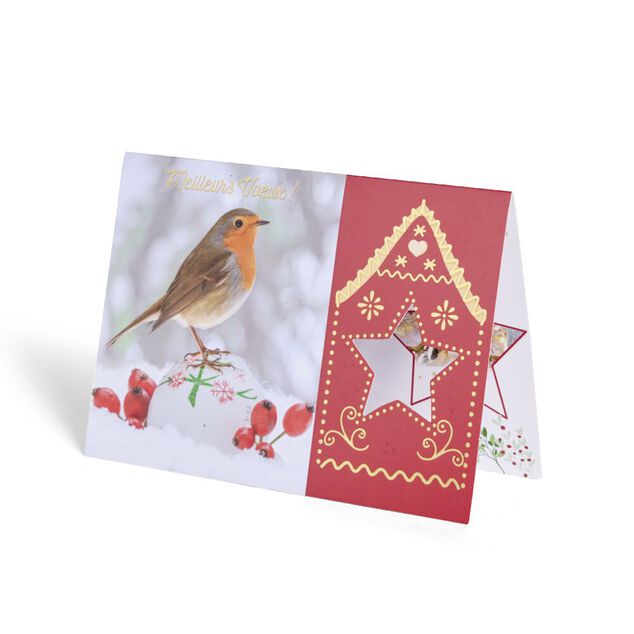 Carte de voeux No&euml;l 12x17cm