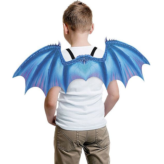 Aile de dragon