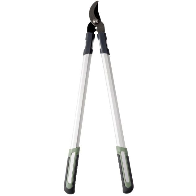 Coupe branche gris et vert