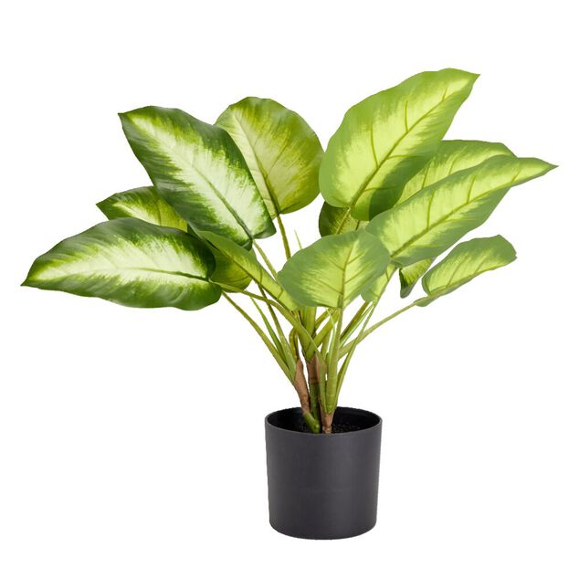 Plante artificielle en pot monstera vert 15 feuilles H50cm - 2 mod&egrave;les