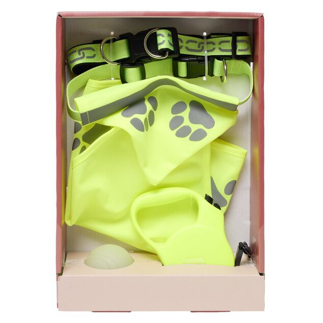 Accessoire sellerie pour chien 5 pi&egrave;ces fluorescent jeu et promenade