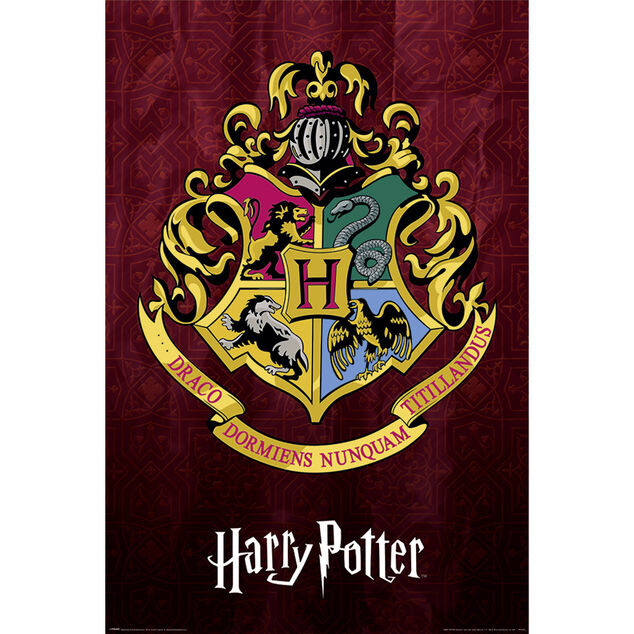 Poster Harry Potter - Hogwarts School